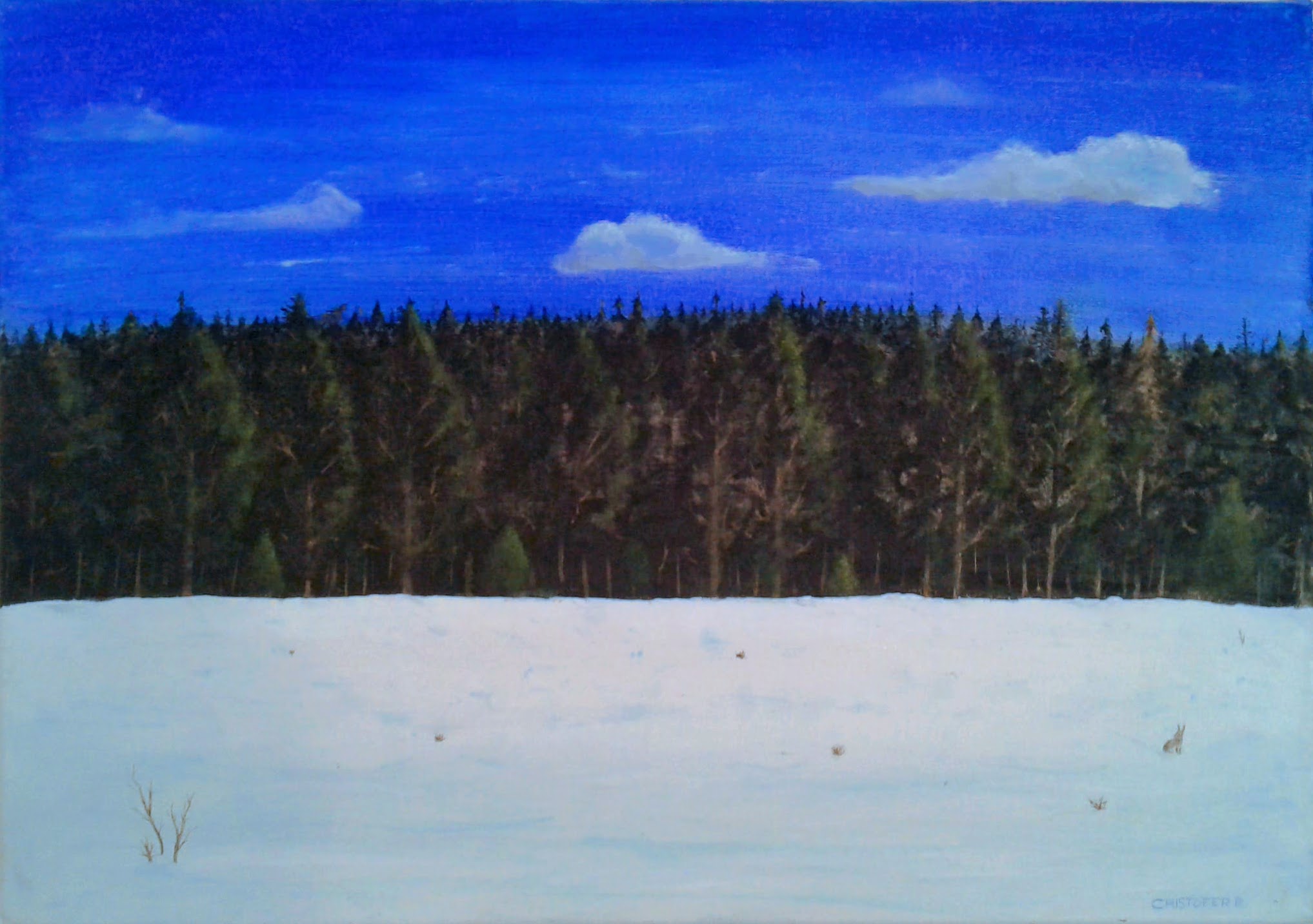 Sinimustvalge, 2015. Cristofer Rybner